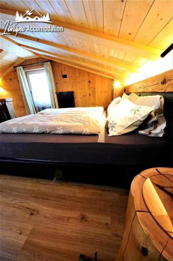 Mountain Chalet Scoiattolo By Livigno Accomodation Εξωτερικό φωτογραφία