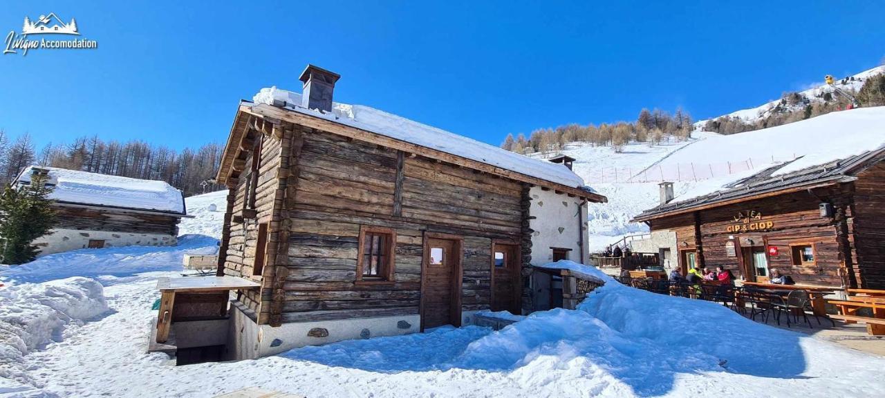 Mountain Chalet Scoiattolo By Livigno Accomodation Εξωτερικό φωτογραφία