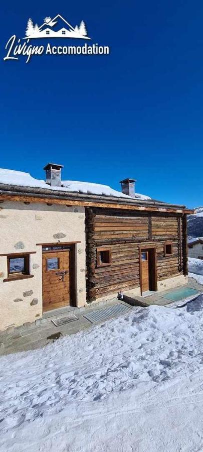 Mountain Chalet Scoiattolo By Livigno Accomodation Εξωτερικό φωτογραφία