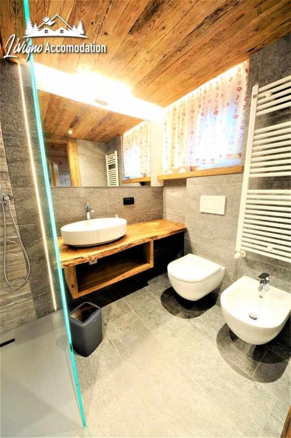 Mountain Chalet Scoiattolo By Livigno Accomodation Εξωτερικό φωτογραφία