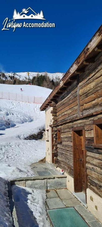 Mountain Chalet Scoiattolo By Livigno Accomodation Εξωτερικό φωτογραφία