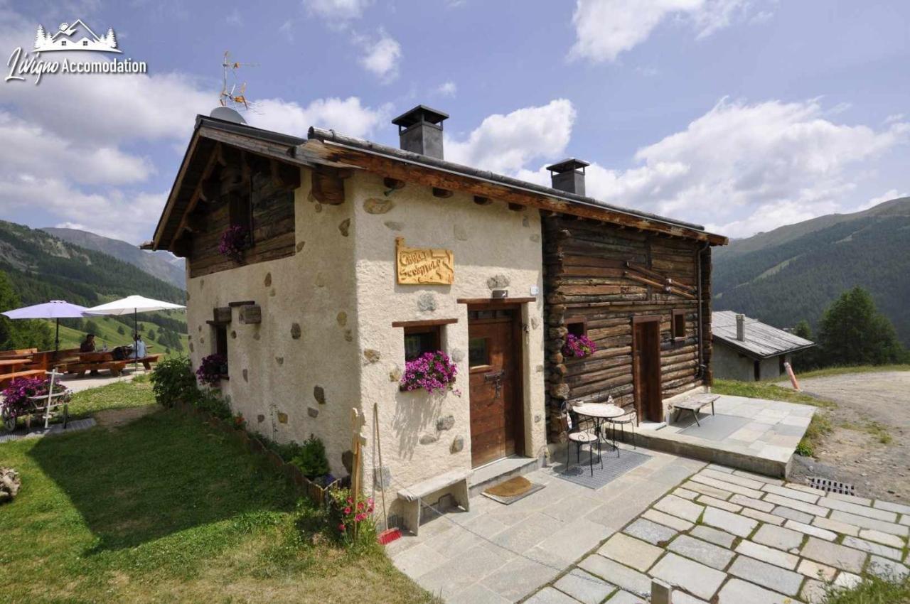 Mountain Chalet Scoiattolo By Livigno Accomodation Εξωτερικό φωτογραφία