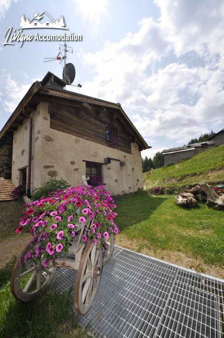 Mountain Chalet Scoiattolo By Livigno Accomodation Εξωτερικό φωτογραφία