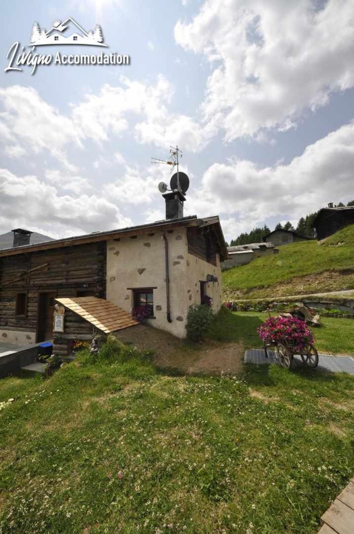 Mountain Chalet Scoiattolo By Livigno Accomodation Εξωτερικό φωτογραφία