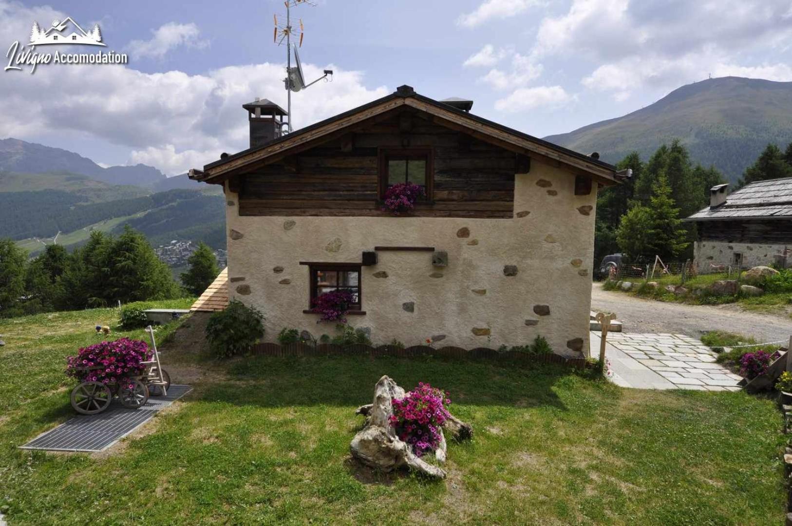 Mountain Chalet Scoiattolo By Livigno Accomodation Εξωτερικό φωτογραφία